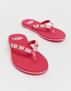 Категория: Шлепанцы женские Ugg