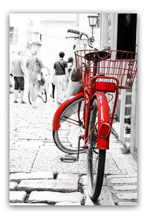 Холст Велосипед с корзинкой Ecoramka