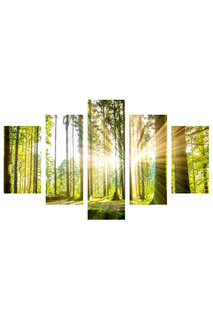 Холст-модуль "Солнце в лесу" Ecoramka