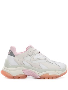 Ash pink Addict sneakers
