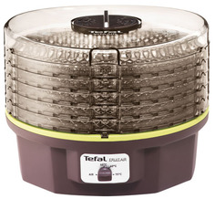 Сушилка для овощей и фруктов Tefal DF100830 Fruit Air