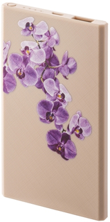 Внешний аккумулятор InterStep