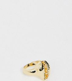 Золотистое кольцо с отделкой в виде ракушки DesignB London - Золотой