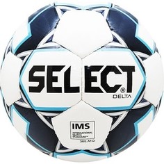 Мяч футбольный Select Delta 815017-009 р. 5
