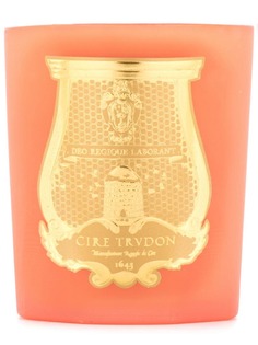 Cire Trudon большая свеча