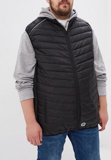 Жилет утепленный D555