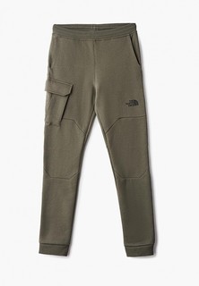 Брюки спортивные The North Face Y DREW PEAK PO PANT