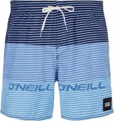 Шорты пляжные мужские ONeill Hm Sunstroke, размер 46-48 Oneill