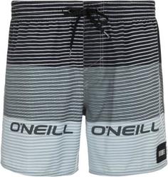 Шорты пляжные мужские ONeill Hm Sunstroke, размер 50-52 Oneill