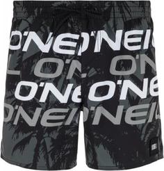 Шорты пляжные мужские ONeill Hm Sunstroke, размер 48-50 Oneill