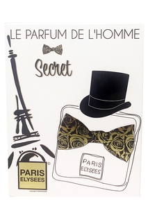 LE PARFUM DE LHOMME SECRET PARIS ELYSEES