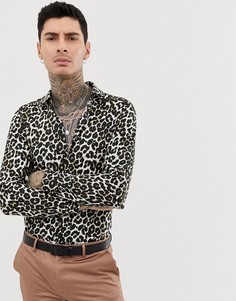 Хлопковая приталенная рубашка с длинными рукавами и леопардовым принтом Devils Advocate - Черный