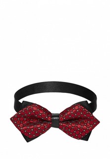 Бабочка Signature