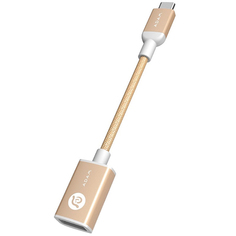 USB-адаптер Adam Elements Type C - Adapters CASA F13 Gold