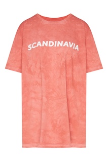 Терракотовая футболка Scandinavia Daniil Antsiferov
