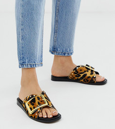 Кожаные шлепанцы с леопардовым принтом и пряжкой River Island - Коричневый