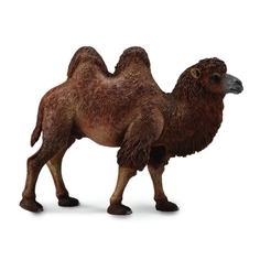 Фигурка Двугорбый верблюд 12 см Collecta