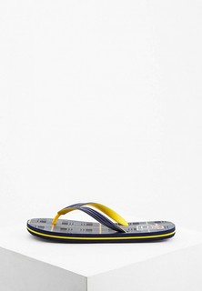 Сланцы Polo Ralph Lauren 