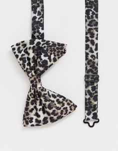 Большой галстук-бабочка с леопардовым принтом ASOS DESIGN - Мульти