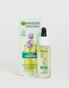 Масло для лица для придания сияния Garnier - Organic Lavandin - Бесцветный