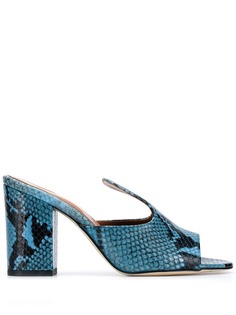 Paris Texas python mules