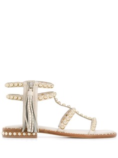 Ash power gladiator sandals