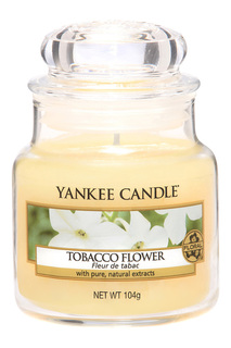 Свеча маленькая Цветок Табака YANKEE CANDLE