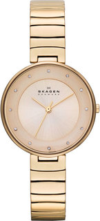 Женские часы Skagen SKW2226