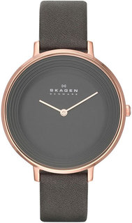 Женские часы в коллекции Ditte Женские часы Skagen SKW2216