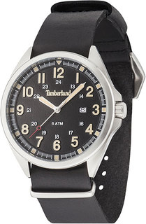 Мужские часы в коллекции Raynham Мужские часы Timberland TBL-GS-14829JS-02A-AS