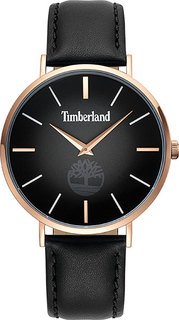 Мужские часы Timberland TBL.15514JSR/02