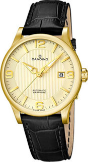 Швейцарские мужские часы в коллекции Elegance Мужские часы Candino C4548_2