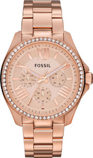 Женские часы в коллекции Cecile Женские часы Fossil AM4483