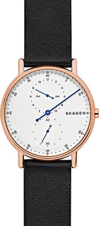Мужские часы в коллекции Signatur Мужские часы Skagen SKW6390