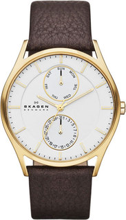 Мужские часы в коллекции Holst Мужские часы Skagen SKW6066