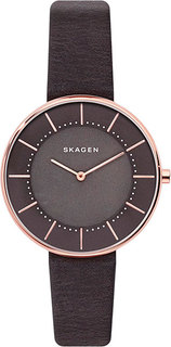 Женские часы в коллекции Gitte Женские часы Skagen SKW2613