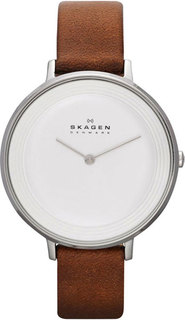 Женские часы в коллекции Ditte Женские часы Skagen SKW2214