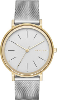 Женские часы в коллекции Hald Женские часы Skagen SKW2508