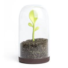 Банки для хранения Qualy Контейнер для сыпучих продуктов Sprout Jar