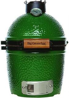 Угольные грили Big Green Egg Mini Гриль (диаметр решетки 25см)