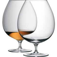 Набор из 2 бокалов для бренди 900 мл LSA International Bar (G709-32-991)