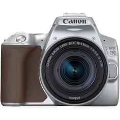 Фотоаппарат зеркальный Canon EOS 250D EF-S 18-55 IS STM Kit Silver EOS 250D EF-S 18-55 IS STM Kit Silver