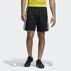 Шорты TAN adidas Performance