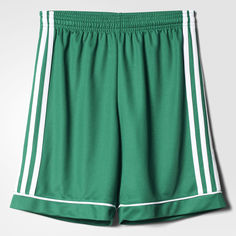 Шорты Squadra 17 adidas Performance