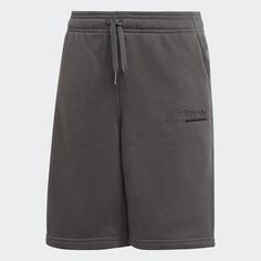 Шорты Kaval adidas Originals