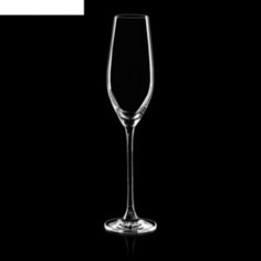 Набор бокалов для шампанского 2 штуки 210 мл Vacu Vin (7649960)