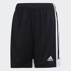 Шорты Tastigo 19 adidas Performance