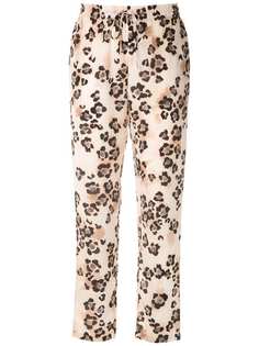 Magrella брюки с анималистичным принтом