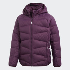 Пуховик Frosty adidas Performance