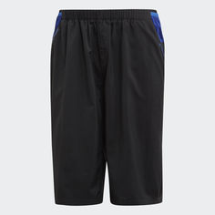Шорты Terrex_WM adidas Originals